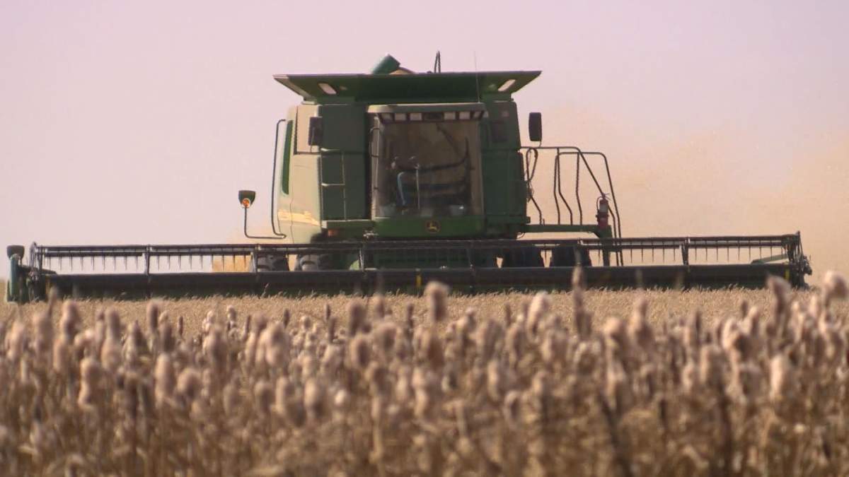 After a week of cold temperatures, this long-term forecast is sure to put a smile on a Manitoba farmer's face.