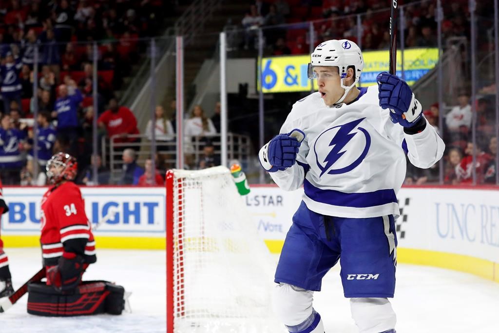 Tampa Bay Lightning centre Mitchell Stephens celebrates a goal against Carolina Hurricanes goaltender Petr Mrazek. (AP Photo/Gerry Broome)
