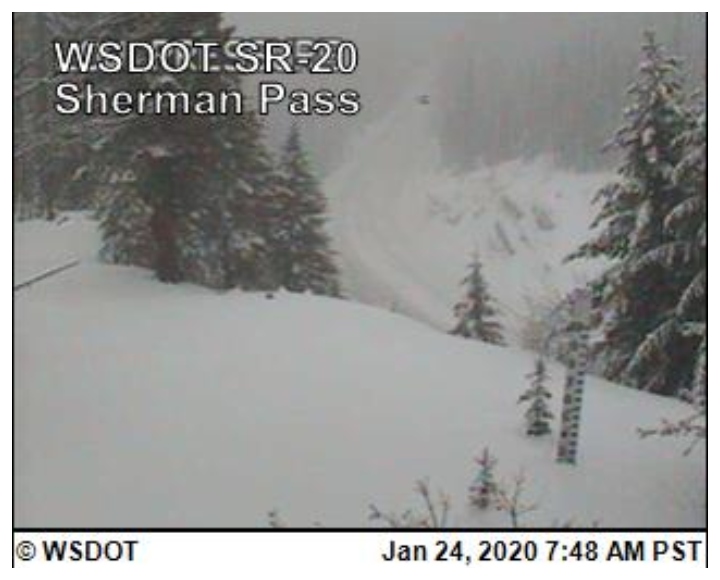 This time-stamped photo shows a shape that some claim is Bigfoot on Jan. 24, 2020, at 7:48 a.m. in Washington state.