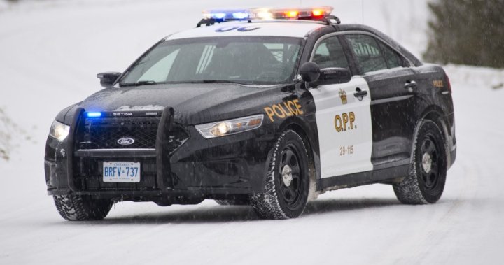 1 загинал след фатална катастрофа в окръг Норфолк, Онтарио. по време на снежна буря