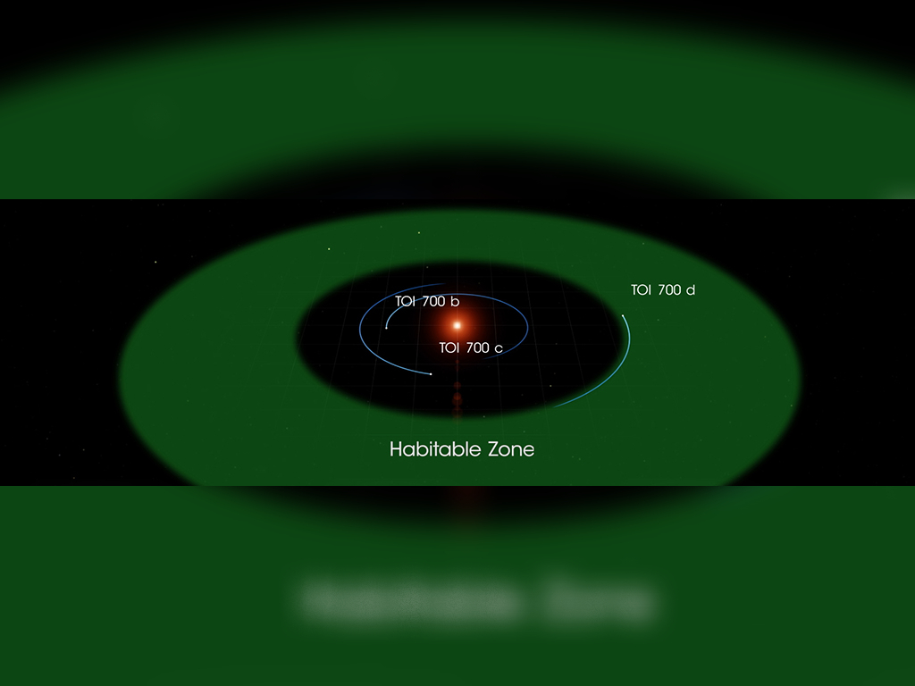 TOI 700 d is one of three planets discovered orbiting a star 100 light-years away. According to NASA, it may even be habitable.