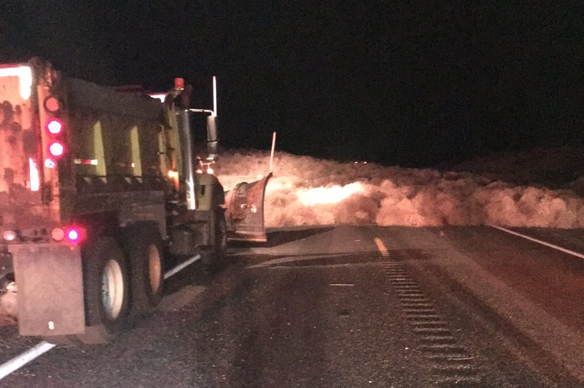 A giant tumbleweed rolled down a California highway : NPR