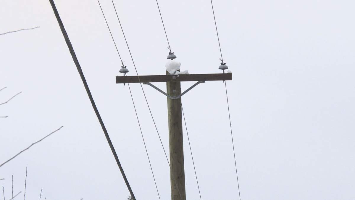 Penticton asked a consulting firm to look at possible alternative power generation options for the city, which runs its own utility. 