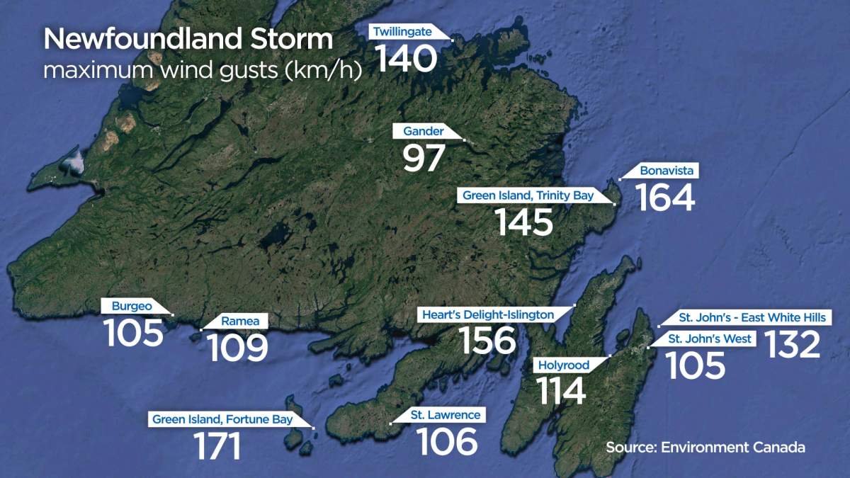 Highest snowfall observed in N.L. storm was 93 cm: Environment Canada - image