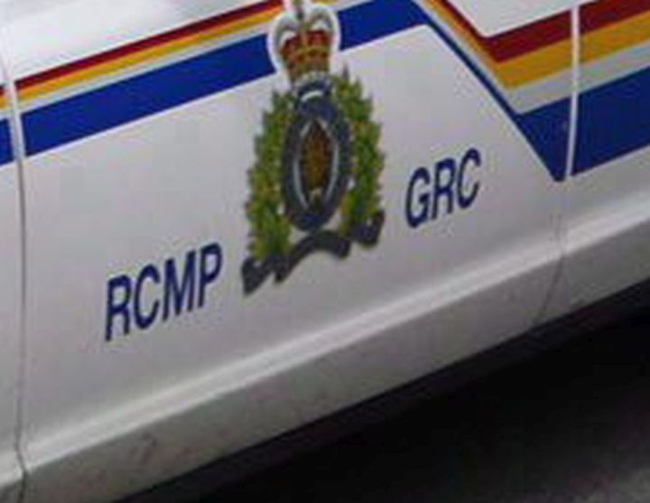 RCMP are investigating after a horse was shot and killed on private property outside of the Village of Senlac, Sask. 