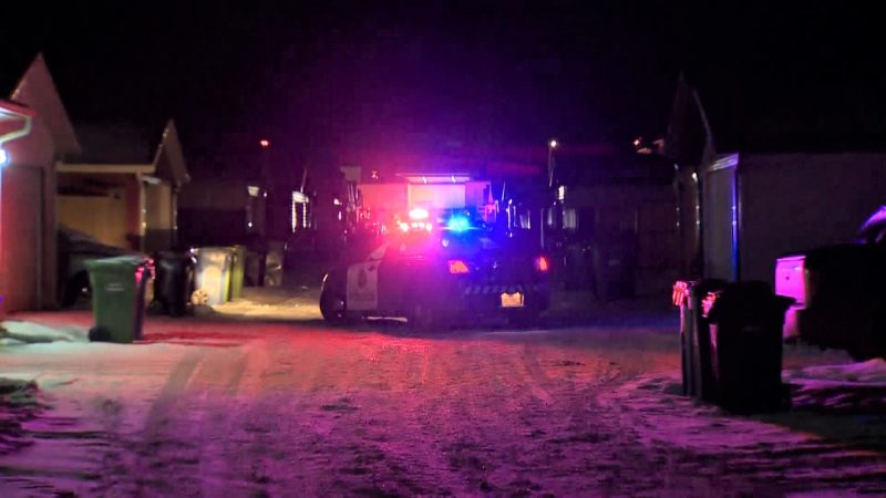 Calgary police investigate a shooting in the 200 block of Saddlecrest Boulevard N.E. at about 7:30 p.m. on Saturday, Jan. 4.