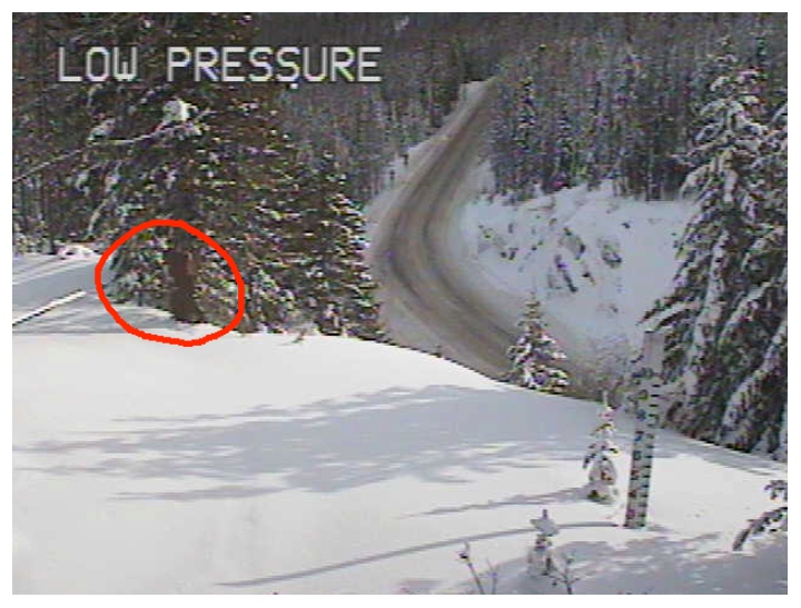 A circle identifies a dark shape caught on a traffic camera in Washington state.