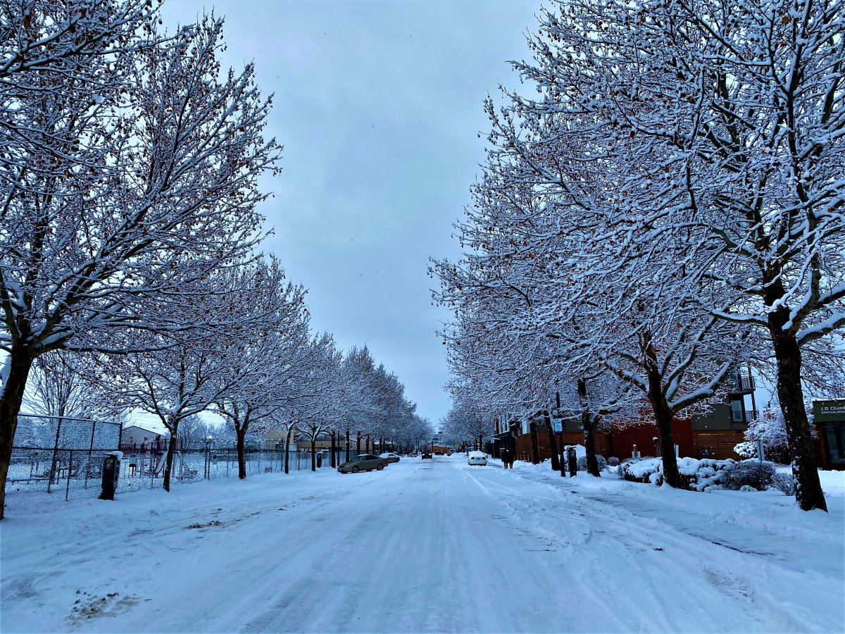 FILE. It turns into a winter wonderland on Tutt Street.