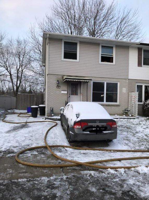 More than 2 dozen animals saved, 4 cats dead after London house fire - image