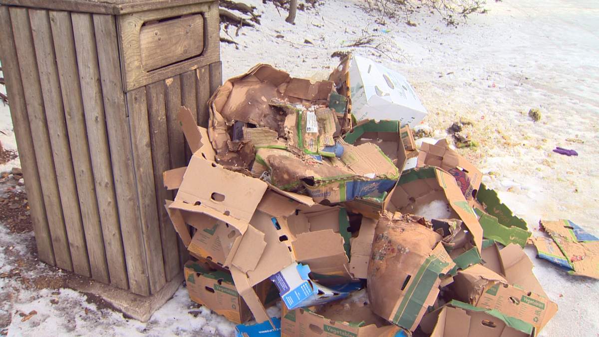 Animals have been coming to eat from the discarded food.