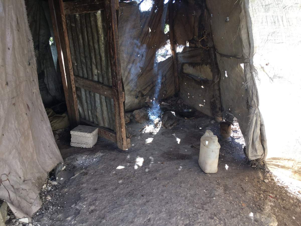 Haiti 10 years later: Temporary tent city turns into makeshift community for 300,000 - image