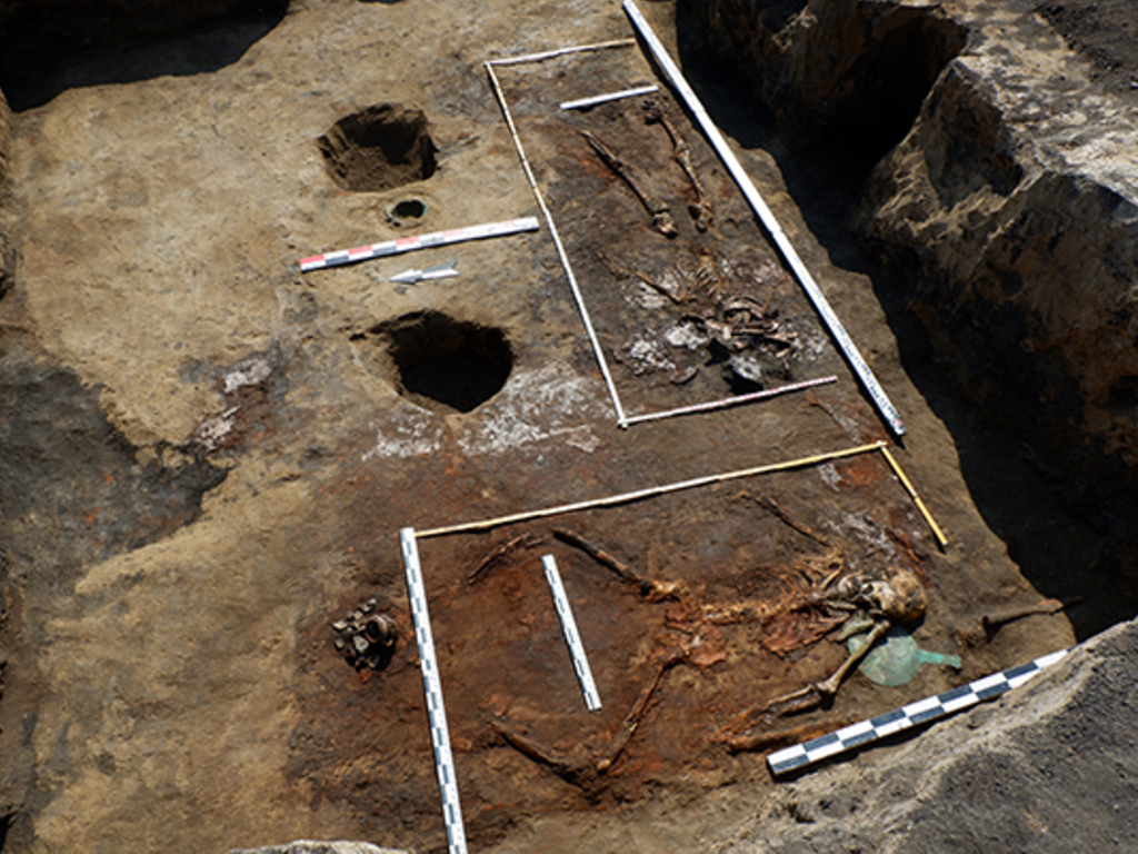 Two of the four skeletons were left in near perfect condition.