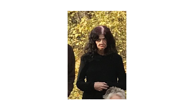 RCMP seek missing Vernon resident - image