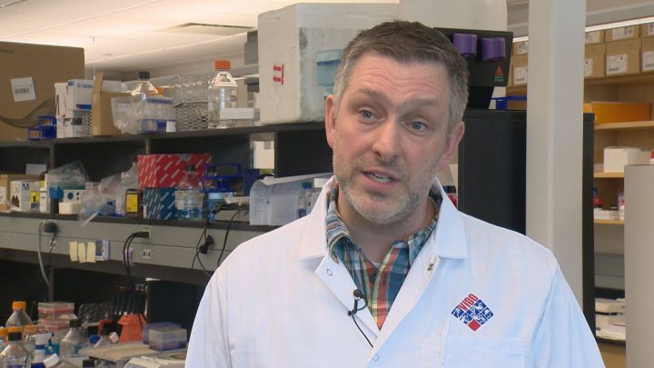 Darryl Falzarano says he's hoping that his institute's promising tests on ferrets and hamsters will translate into safe and effective results in the human testing phase.