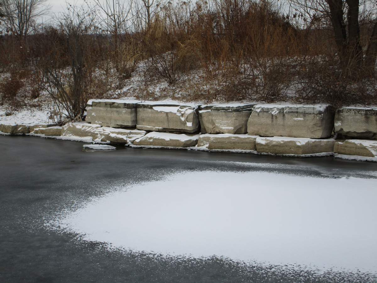 Both Brant and Haldimand county have flood warnings in effect around the Grand River.