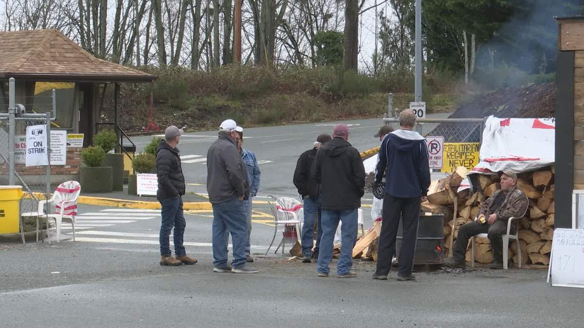 Striking United Steelworkers forestry workers seen on the picket line in Chemainus in January, 2020.