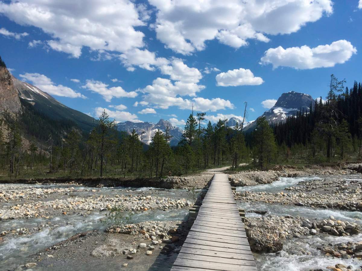 In this July 6, 2017 photo, a bridge crosses a stream along the Iceline Trail in Yoho National Park.