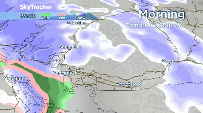‘Significant snow’ in the forecast for South Coast on Tuesday - image