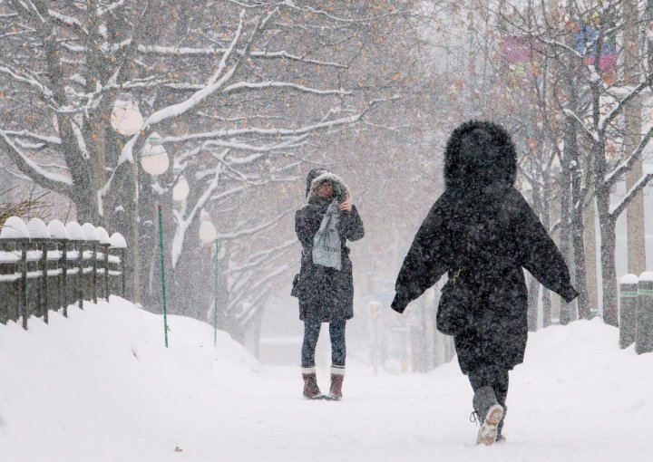 Snowfall, winter storm warnings issued for Ottawa area: Environment ...