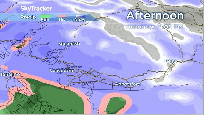 ‘Significant snow’ in the forecast for South Coast on Tuesday - image