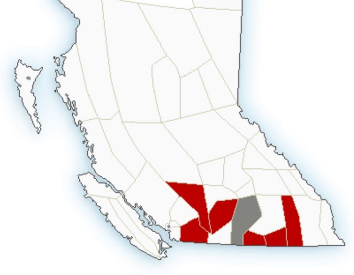 A map showing regions in red under the snowfall warning. In the Okanagan, which is coloured grey, Vernon is under a road dust advisory.