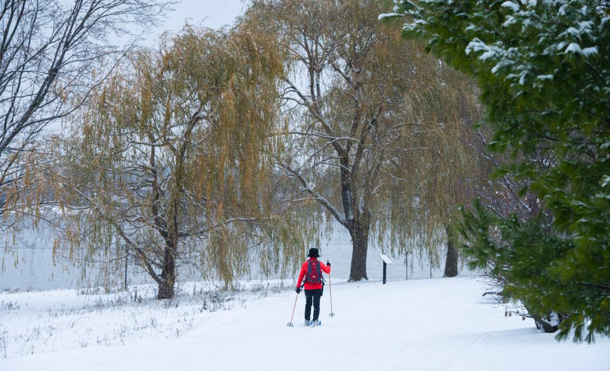 Monday, Feb. 17, 2020 is Family Day.