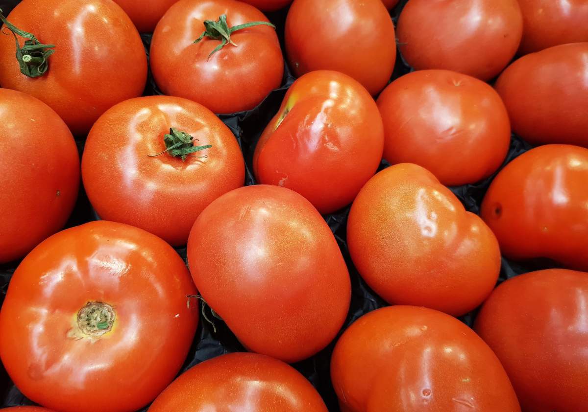 Tomatoes displayed on the shelf of a supermarket 05 February 2020.