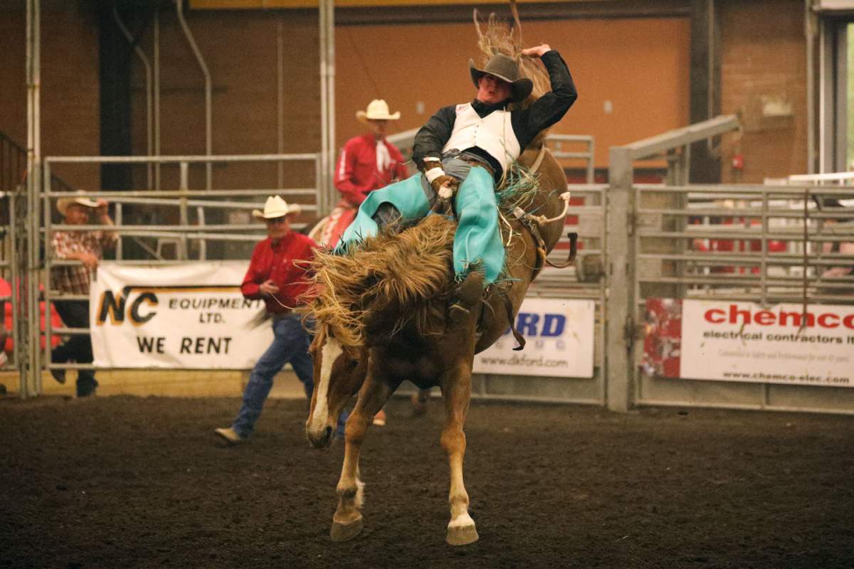 Leduc Black Gold Pro Rodeo – 52nd Annual - image
