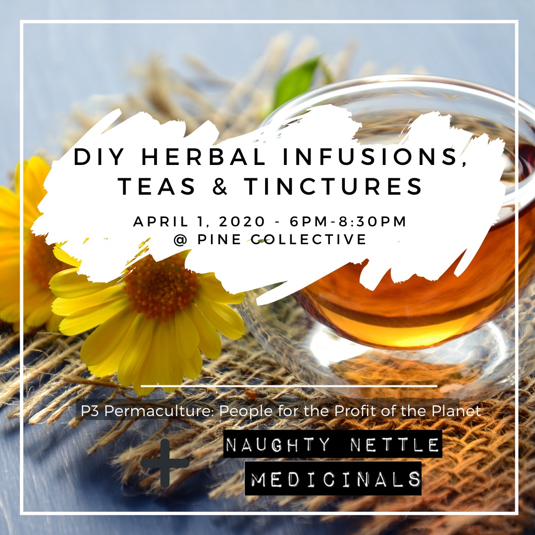 DIY Herbal Infusions, Teas & Tinctures - image