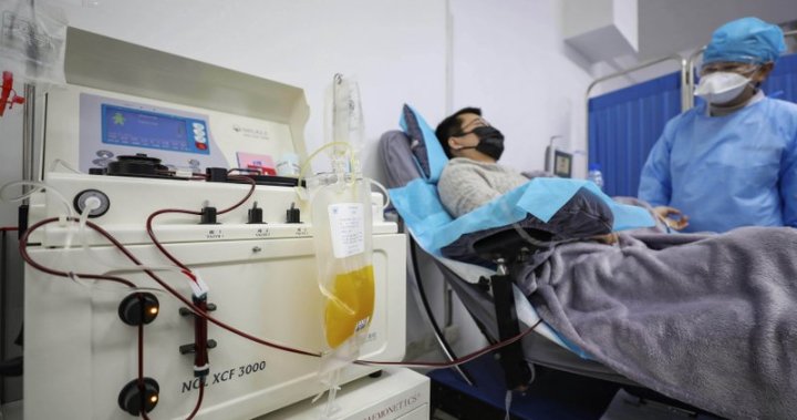 COVID-19 patients shouldn’t be given blood plasma treatment, WHO says
