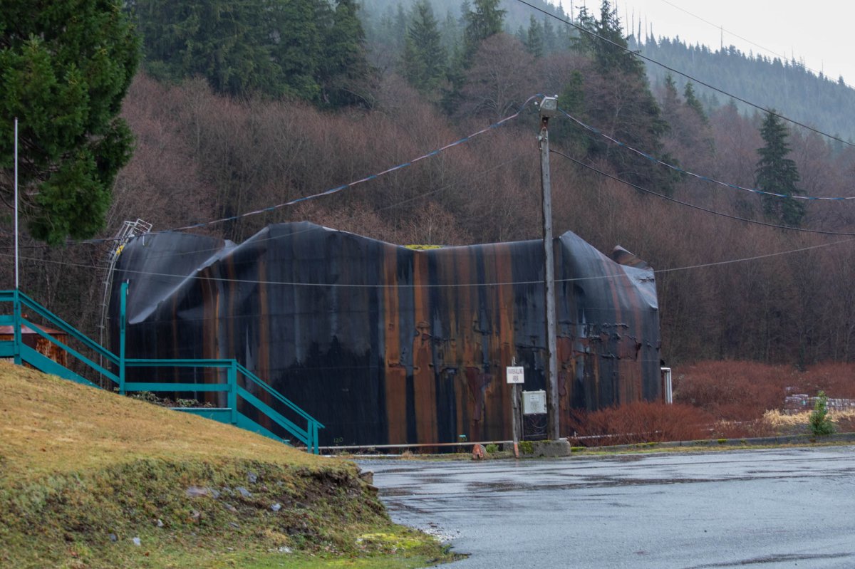 A view of the collapsed roof of the old pulp mill in Port Alice, B.C. on Jan. 31, 2020.