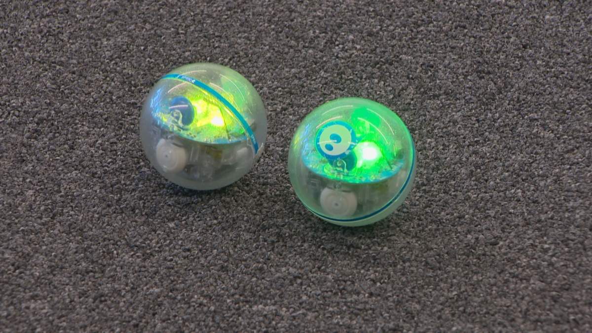 A group of young girls learned how to code using tablets and mini robots over the weekend at the University of Lethbridge. YWCA hosted the event, entitled 'Girls with Tools'. 