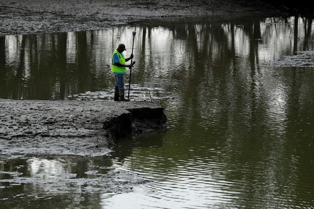 FILE - In this Aug. 6, 2019, file photo, U.S. Army Corps of Engineers worker Ron Allen uses a GPS tool to survey the extent of damage where a levee failed along the Missouri River near Saline City, Mo. The National Weather Service said Thursday, Feb. 13, 2020, there is an elevated flood risk along the eastern Missouri River basin this spring because the soil remains wet and significant snow is on the ground in North Dakota and South Dakota. (AP Photo/Charlie Riedel, File).