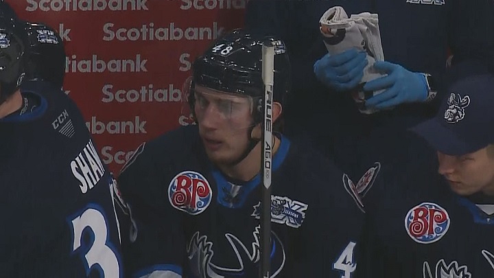 Manitoba Moose forward Andrei Chibisov looks on from the bench.