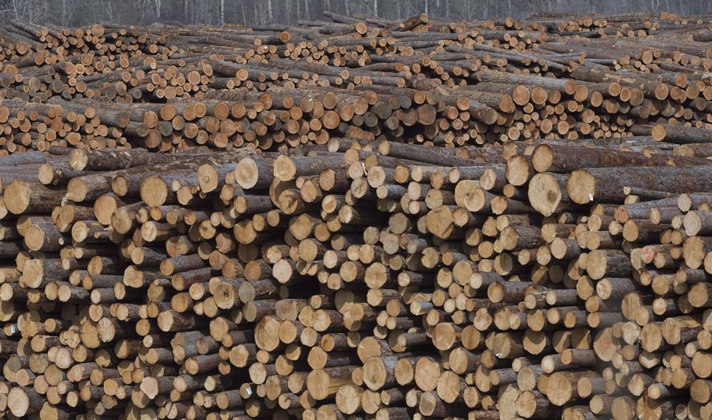 Softwood lumber is pictured at Tolko Industries in Heffley Creek, B.C., on April, 1, 2018.