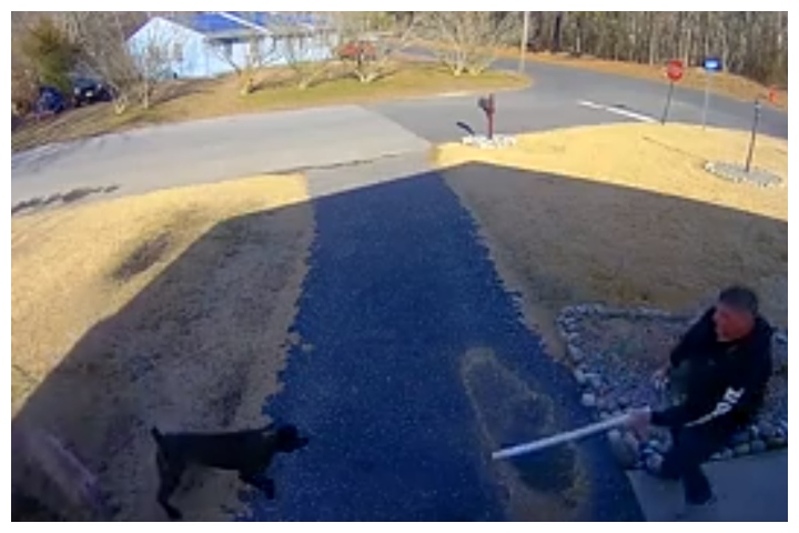 A man fends off three dogs outside his home in this footage captured on a Ring camera in Little Egg Harbor Township, N.J., on Feb. 3, 2020.