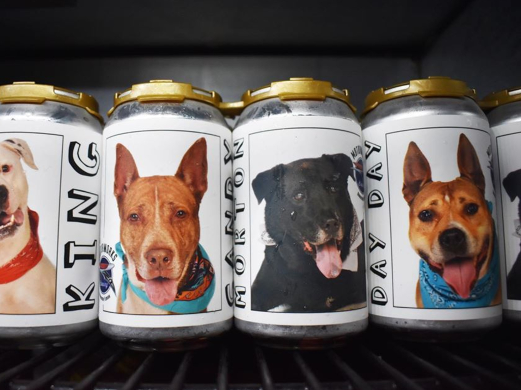 Motorworks Brewing posts adoptable dogs on their four-packs of beer, with proceeds going to a local shelter.