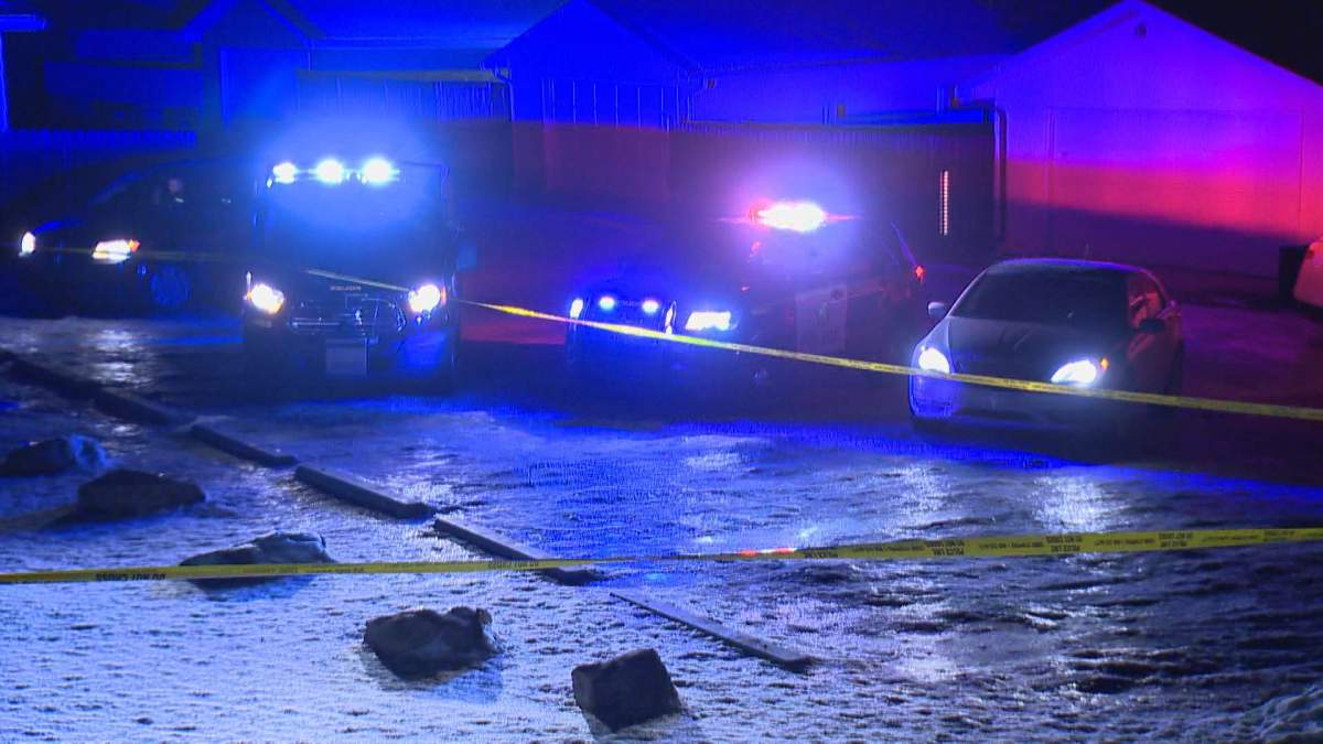 Calgary police respond to a stabbing at a southwest dog park Saturday, Feb. 15, 2020. 