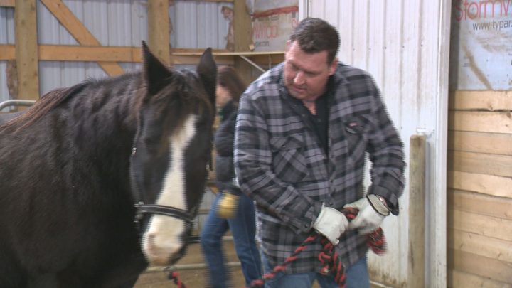 Keith Olberg in an EAL session with “Journey”