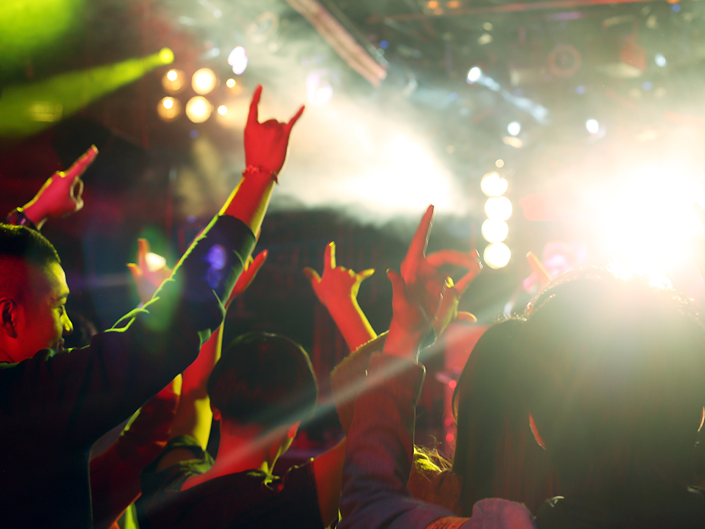 Fans enjoy a concert.