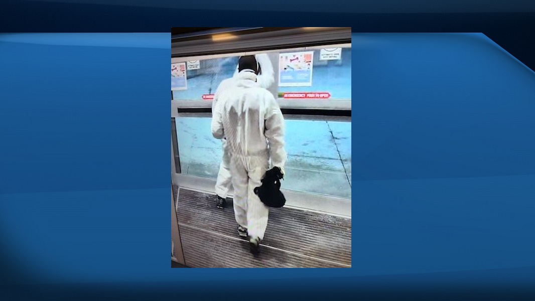 Halton police are searching for two suspects wanted in connection with a reported jewelry store robbery at Oakville Place. 