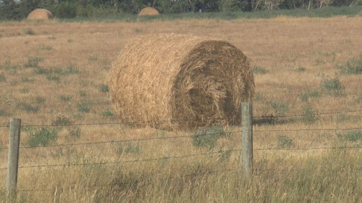 A file photo of a hay bale.