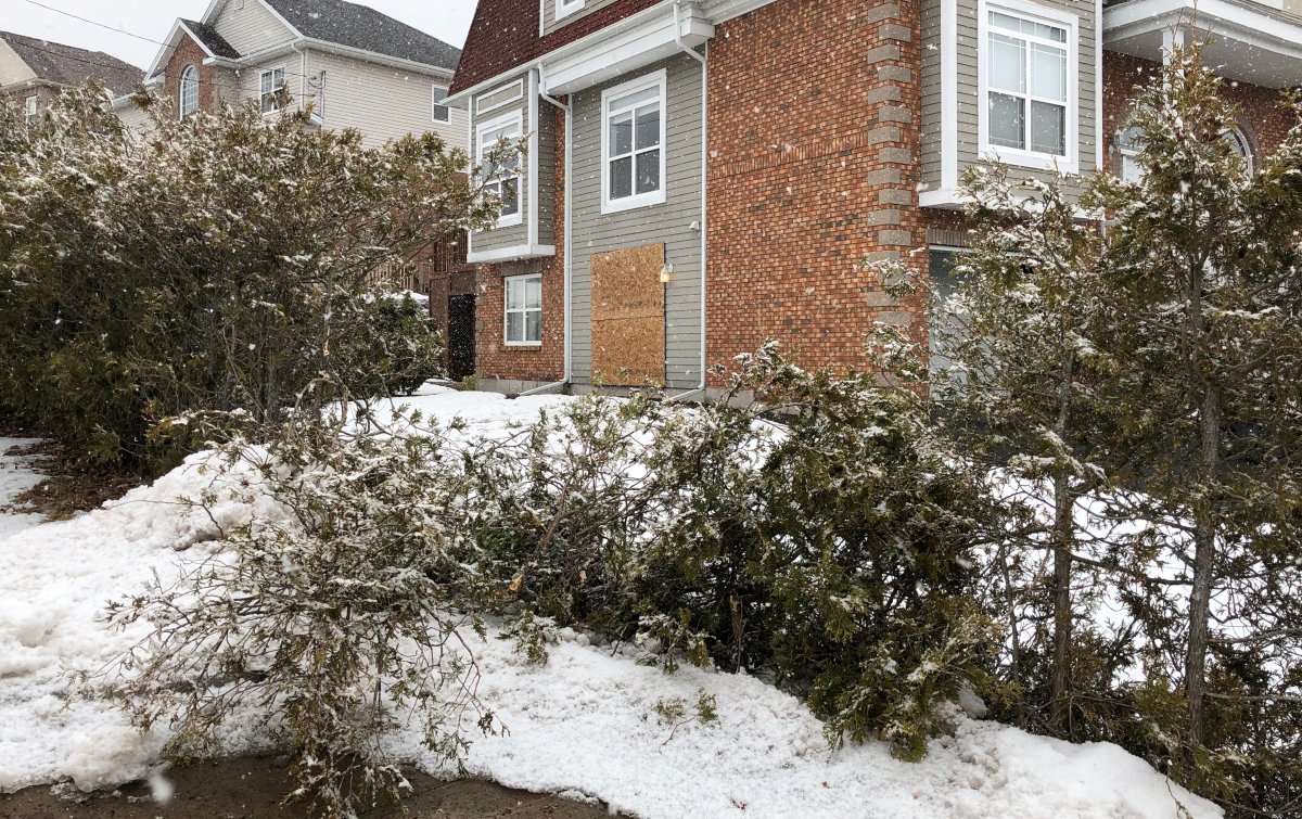 Man charged with impaired driving after vehicle hits house in Halifax - image