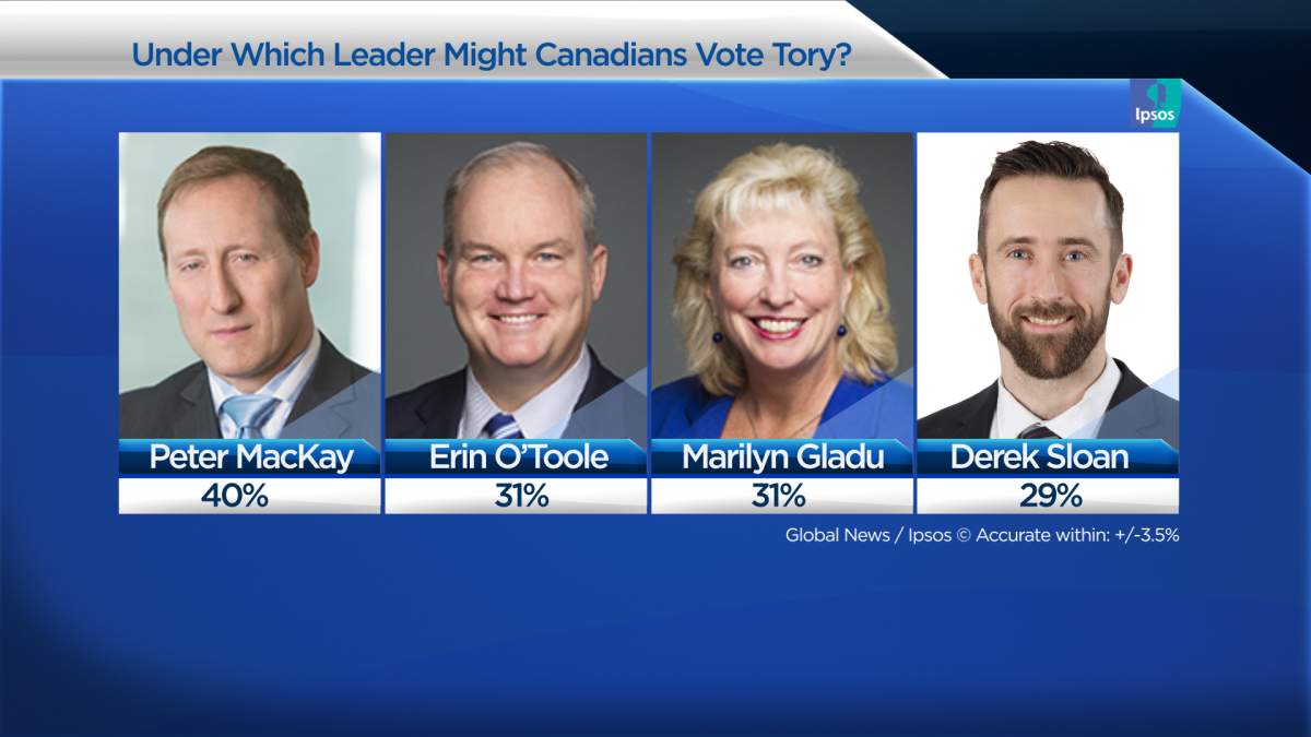 More Canadians would consider voting Tory under Peter MacKay than other contenders: Ipsos - image
