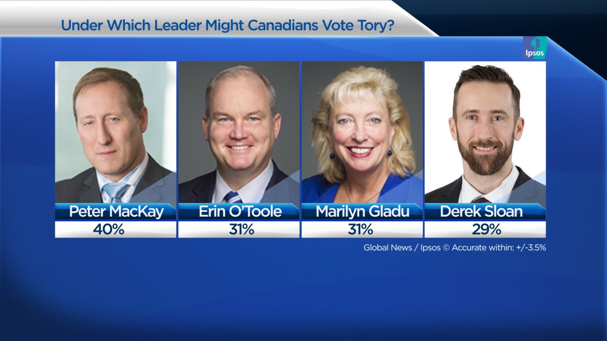 More Canadians would consider voting Tory under Peter MacKay than other ...