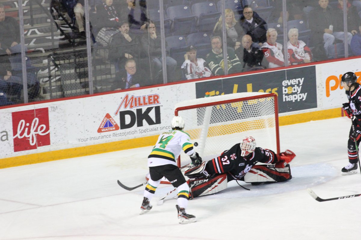 Big night from Gruden leads London Knights to ninth win in a row - image