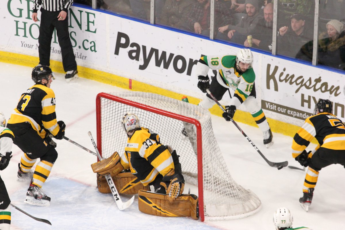 London Knights move back into top spot in the Western Conference with win in Kingston - image