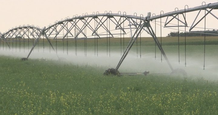 Irrigation dispute resolved for southern Alberta farmers