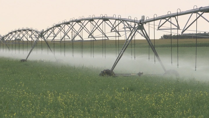 A file photo of an irrigation system in southern Alberta.
