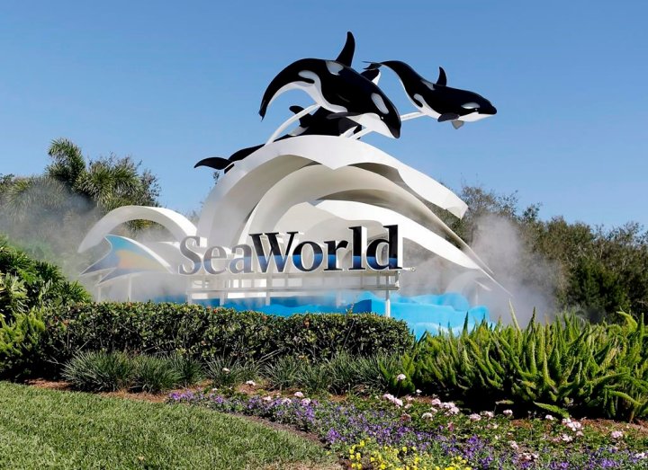 is seaworld still open News, Videos & Articles